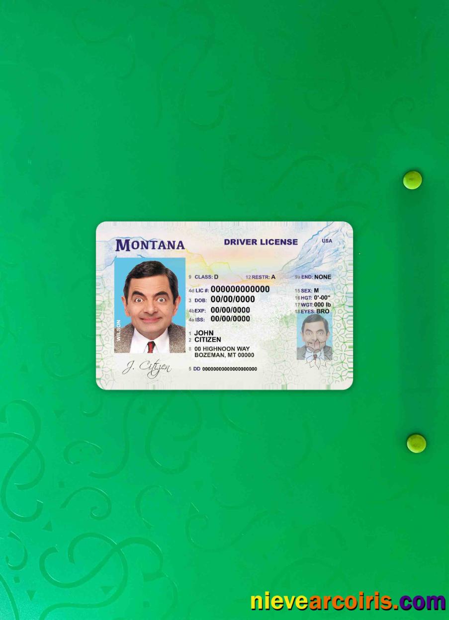 USA Montana driving license photolook